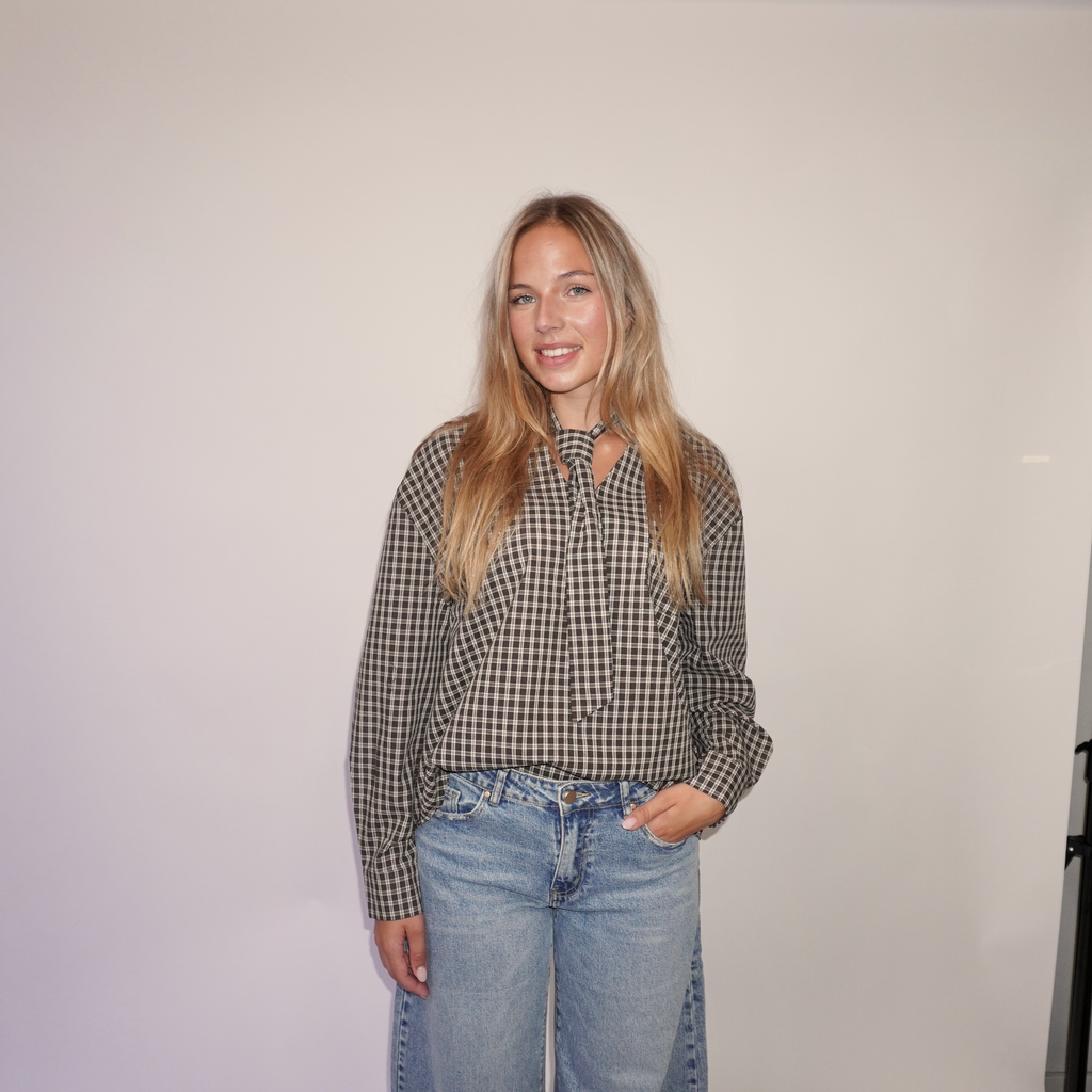 Aimee Blouse Bruin